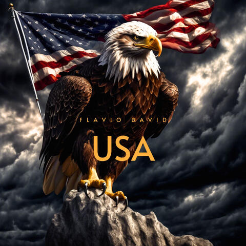 USA USA